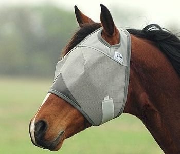 Cashel Crusader Fly Mask - Image 2