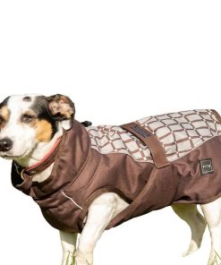 Alternative view of FITS Dog Coats