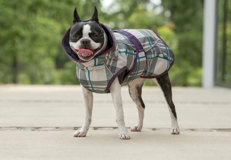 FITS Dog Coats - Image 6