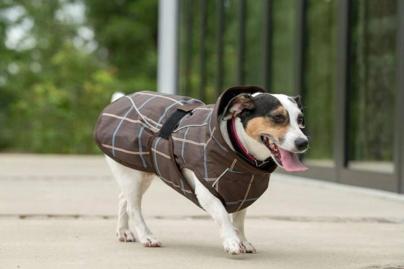 FITS Dog Coats - Image 7