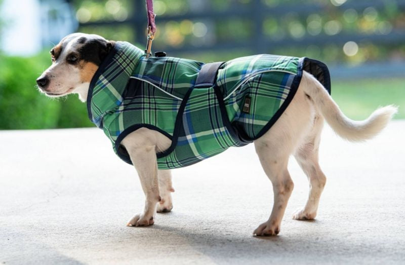 FITS Dog Coats - Image 9