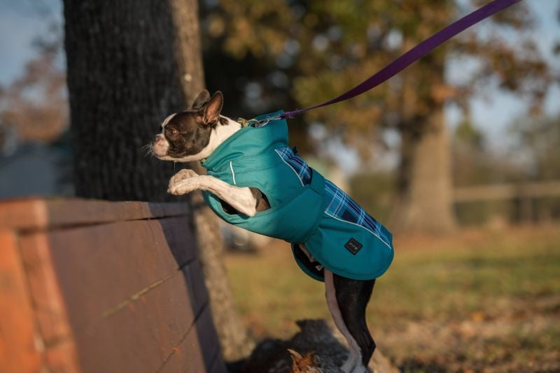 FITS Dog Coats - Image 10