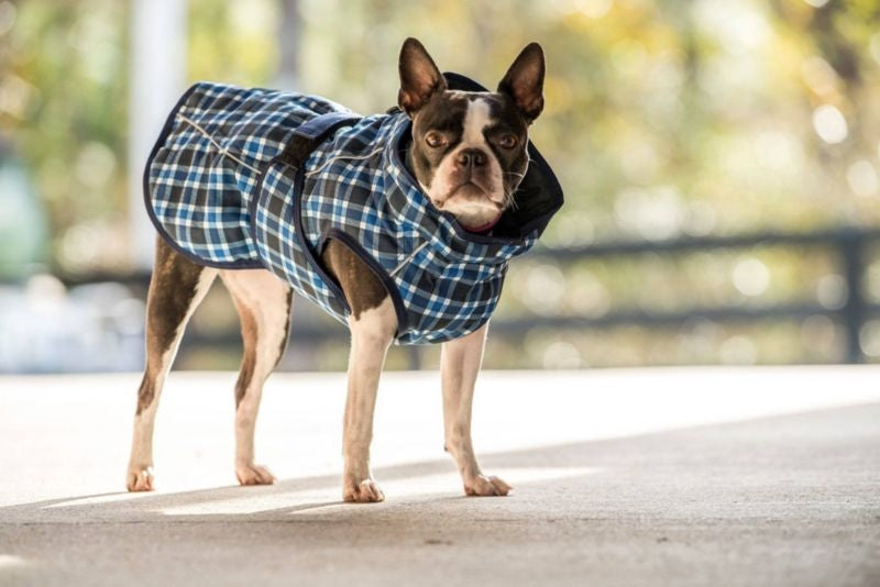 FITS Dog Coats - Image 11