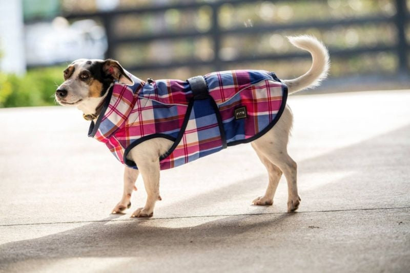 FITS Dog Coats - Image 12