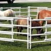 Carri-Lite Portable Mini Corral 8 Panel