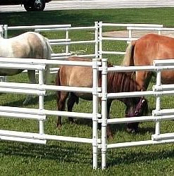 Carri-Lite Portable Mini Corral 8 Panel