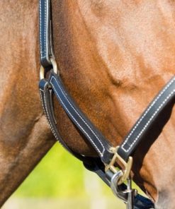 Horze Fremont Leather Horse Halter