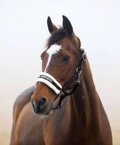 Horze Howard Halter