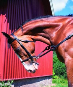 Horze Leather Side Reins With Rubber Donuts