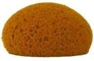 Alternative view of Honey Comb Form Hydra Sponge