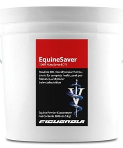 Alternative view of Figuerola EquineSaver