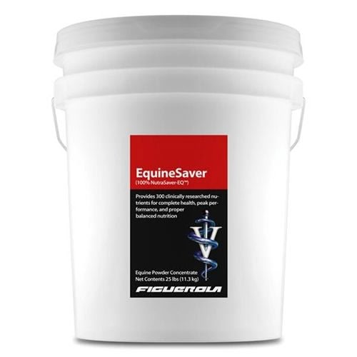 Figuerola EquineSaver - Image 3