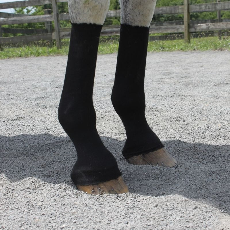 EquiFit HorseSox Individual