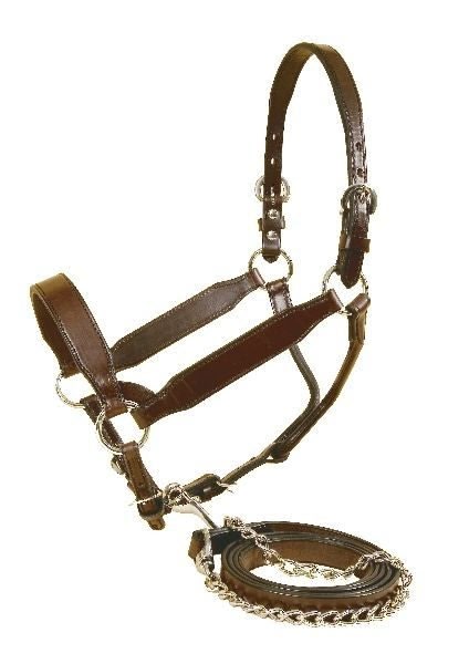 Congress Style Show Halter/Matching Lead Horse Br - Image 3