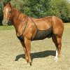 Cashel Flysheet Belly Guard 82 - 84 Black