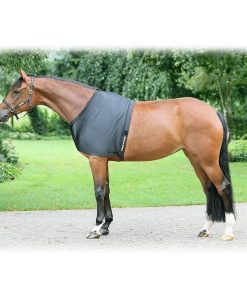 Back on Track Therapeutic Equine Shoulder Guard