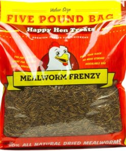 Durvet Happy Hen Mealworm Frenzy Chicken Treats