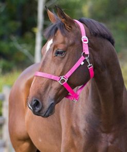 Alternative view of Horze Basic Halter
