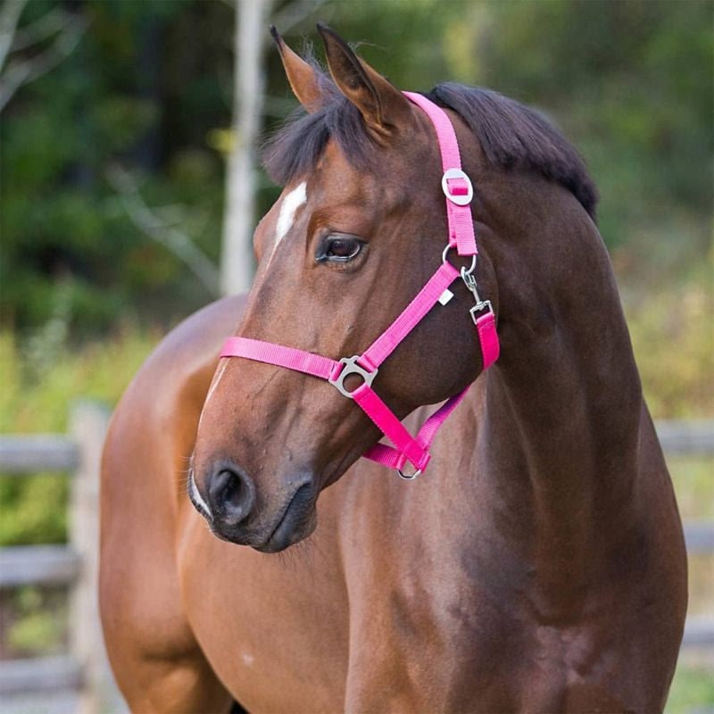 Horze Basic Halter - Image 2