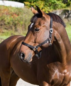 Horze Basic Halter