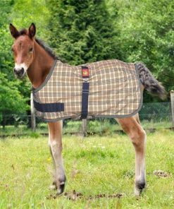 Baker Expand-O-Blanket Turnout for Foal & Pony Lar