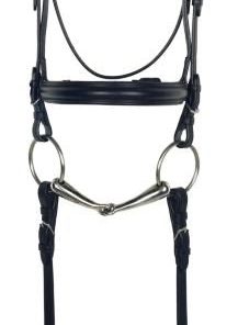 Aramas Plain Raised Padded Dressage Bridle with We
