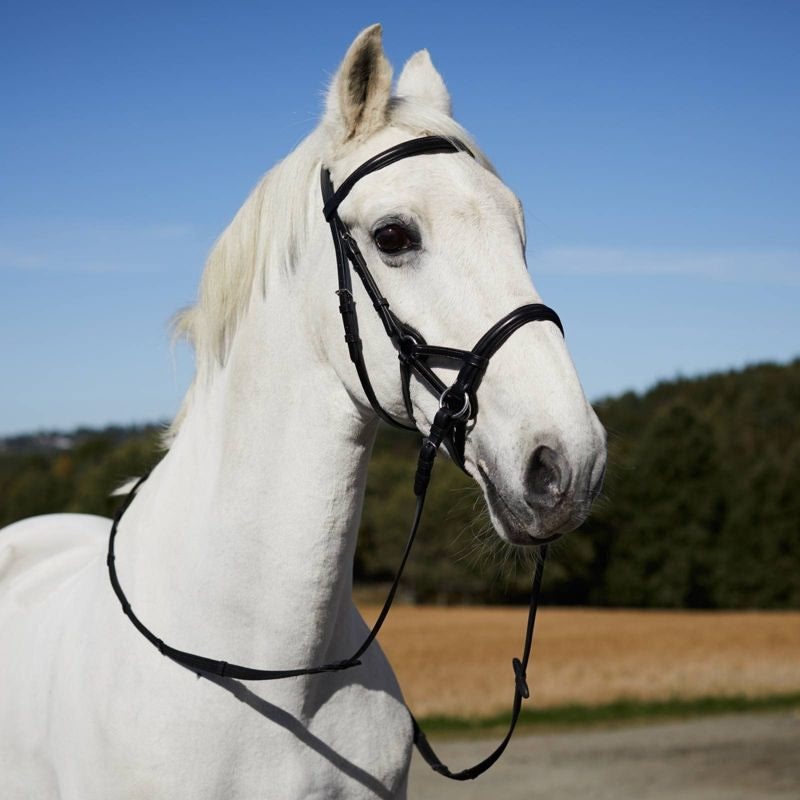 Horze Denver Bitless Bridle Cob Black - Image 2