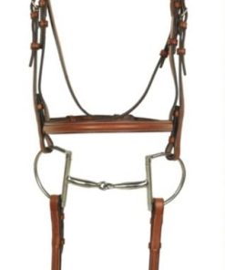 Alternative view of Aramas Plain Raised Bridle with Lace Reins Cob Cho