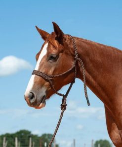 Alternative view of Cashel Flat Braid Halter with 9 Ft Lead Black