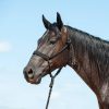Cashel Flat Braid Halter with 9 Ft Lead Black
