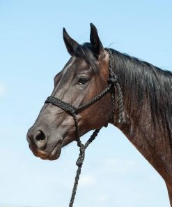 Cashel Flat Braid Halter with 9 Ft Lead Black