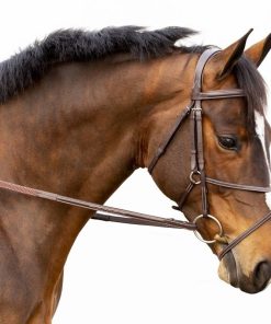 Equinavia Valkyrie Fancy Stitched Figure 8 Bridle