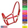 Feather-Weight Beta Track Halter Horse Neon Pink