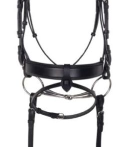 Aramas Square Mild Raised Wide Dressage Bridle wit