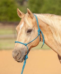 Classic Equine Econo Rope Halter and 8-foot Leadro