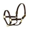 HK Americana Triple Stitched Leather Halter- 1 Inch Wide