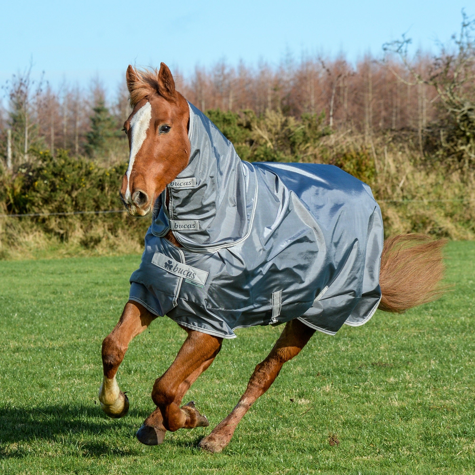 Bucas Smartex Extra Turnout Blanket (300g) - Image 2