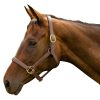 HDR Vegan-X Leather Halter
