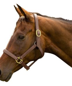 HDR Vegan-X Leather Halter