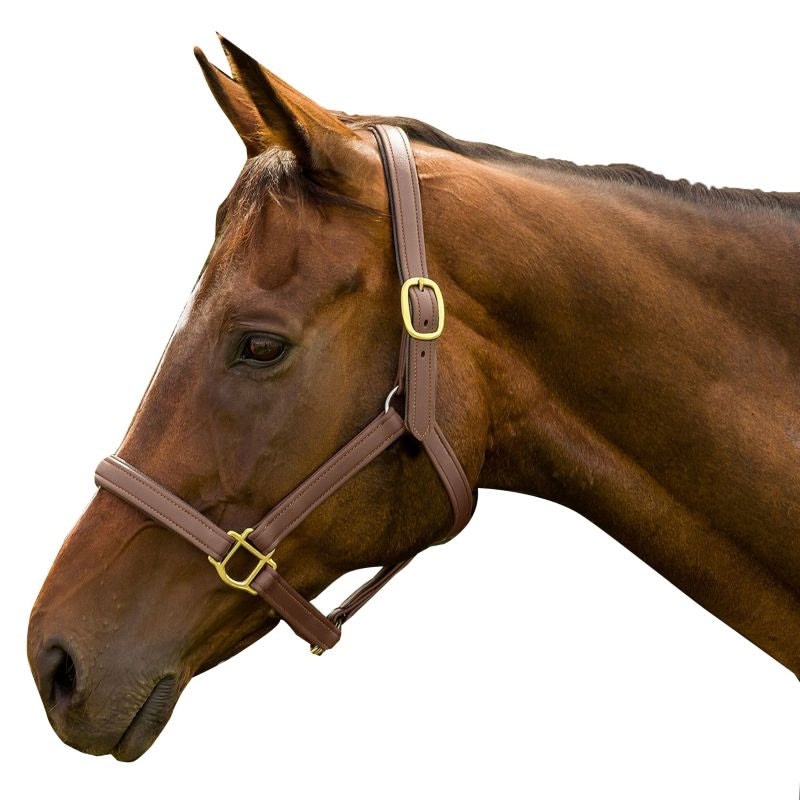 HDR Vegan-X Leather Halter