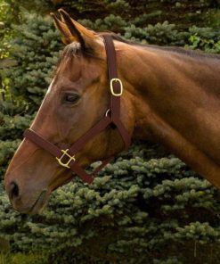 Alternative view of HDR Vegan-X Leather Halter