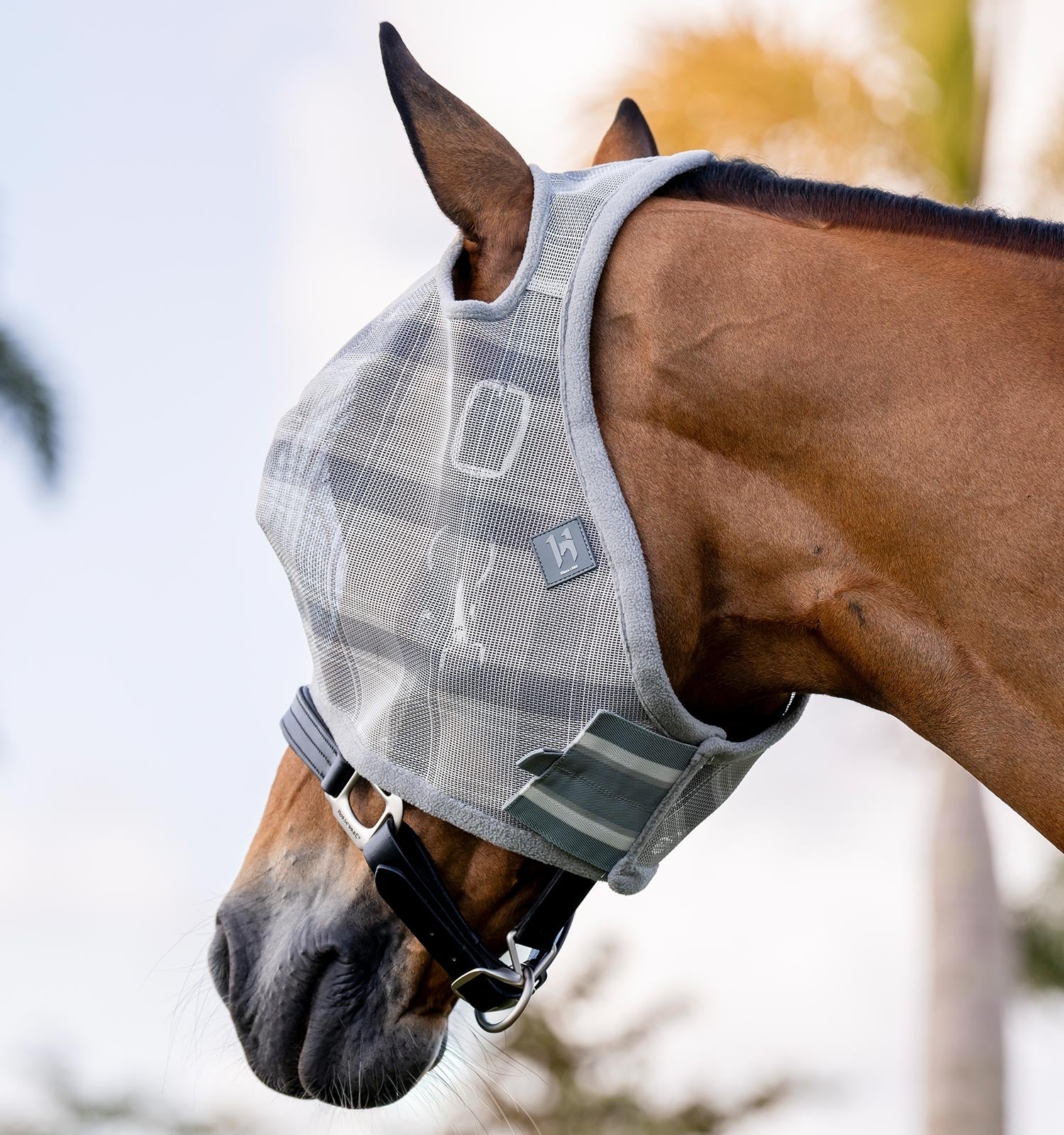 Horseware Newmarket Fly Mask (No Ears) - Image 5