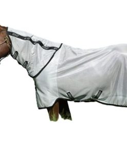 Amigo Bug Rug Stock Horse Plus Fly