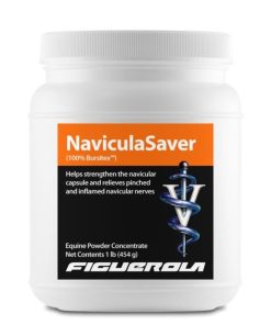 Figuerola NaviculaSaver