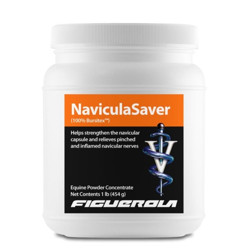 Figuerola NaviculaSaver