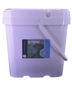 Daily Dose Equine GI Thrive