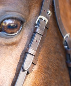 Alternative view of Equinavia Saga Wide Noseband Hunter Bridle with Reins