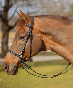 Equinavia Saga Bitless Bridle