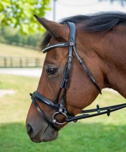 Henri de Rivel Diamonte Dressage Bridle
