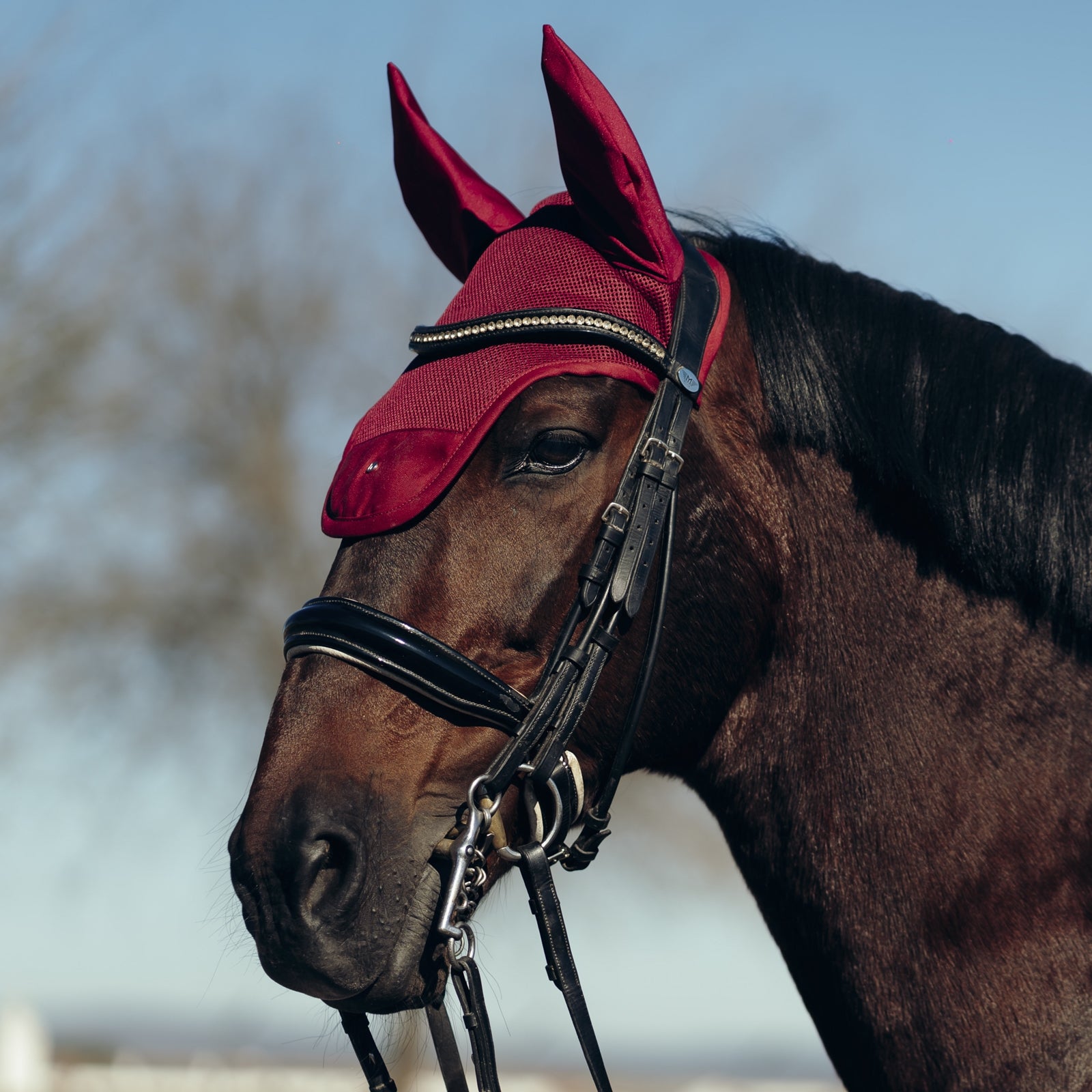 Horze Phoenix Deep Front Ear Net - Image 3